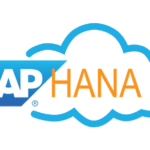 Maximizing Data Processing Speed With SAP HANA