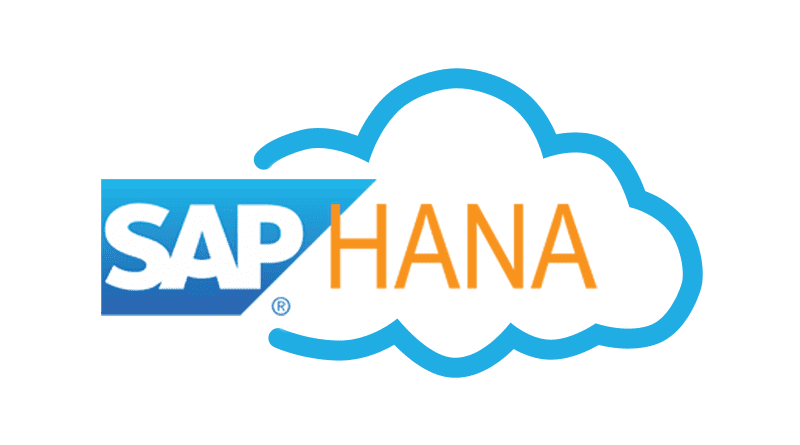 Maximizing Data Processing Speed With SAP HANA