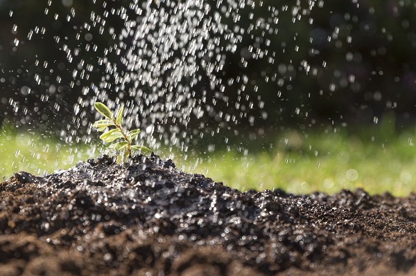 A Complete Guide to Choosing the Right Sprinklers and Irrigation Supplies for Melbourne Gardens