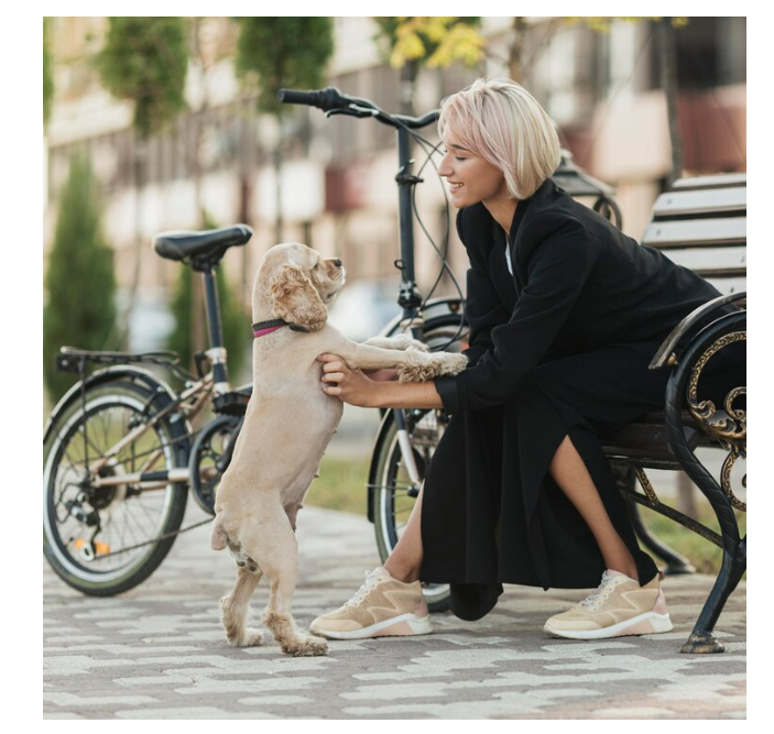 Bicycle Sidecar for Dogs for Sale