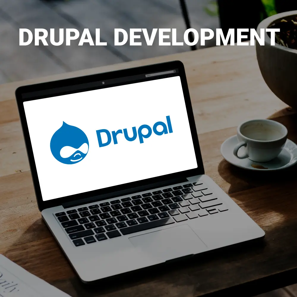 Hire Dedicated Drupal Developer