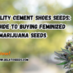 Cement Shoes seeds