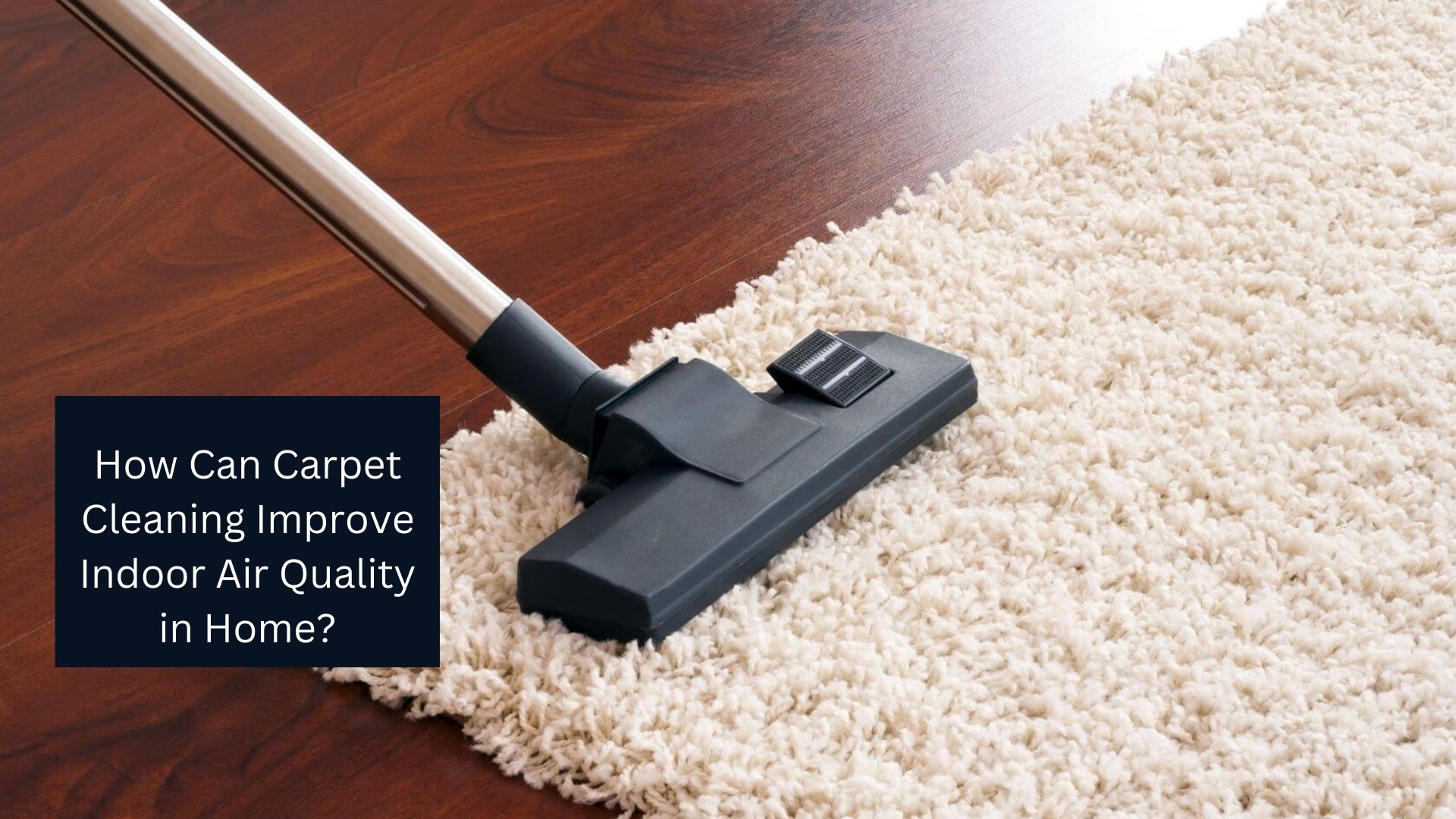 How Can Carpet Cleaning Improve Indoor Air Quality in Home