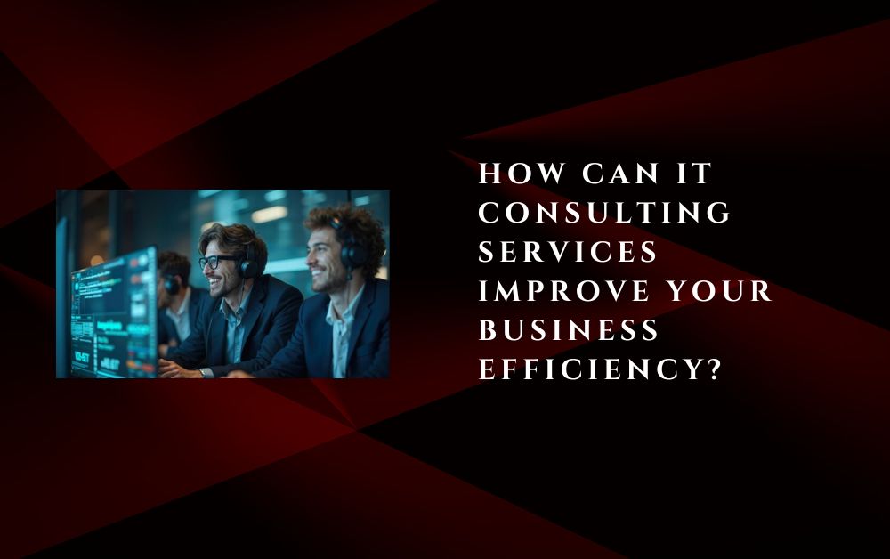 How Can IT Consulting Services Improve Your Business Efficiency