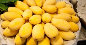 Mango Companies in Pakistan