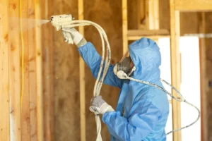 Spray Foam Insulation