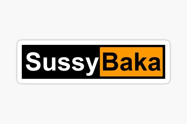 Sussy Baka Meaning