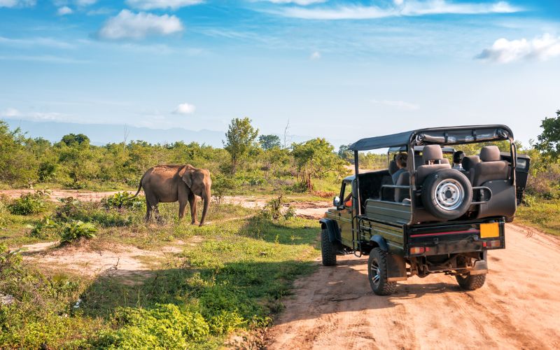 Sri Lanka’s National Parks