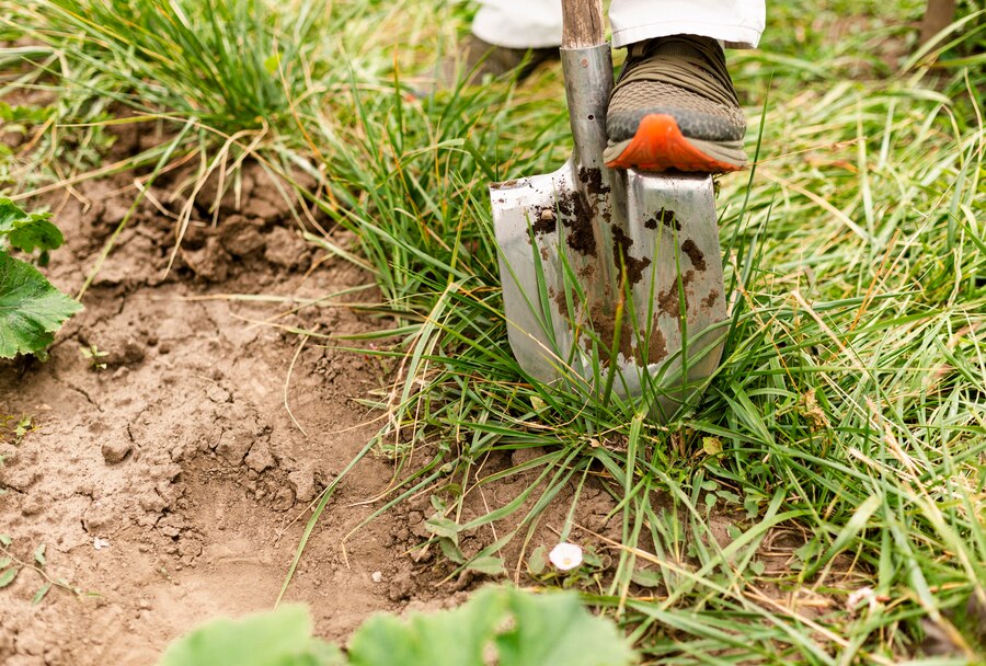 close-up-person-digging-garden_23-2148256617 Tree Conservation: Protecting Our Natural Heritage