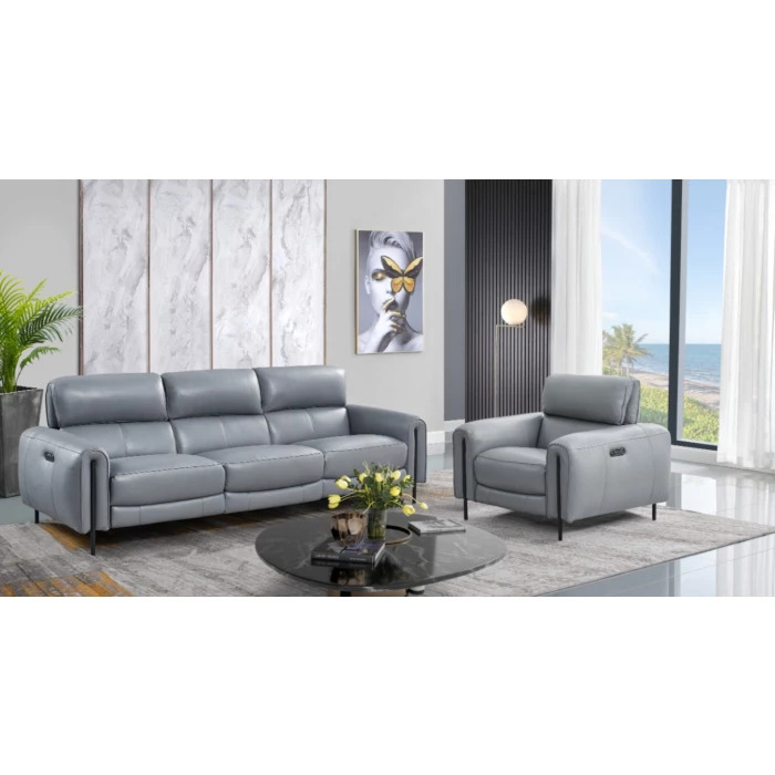 contemporary leather sofa set