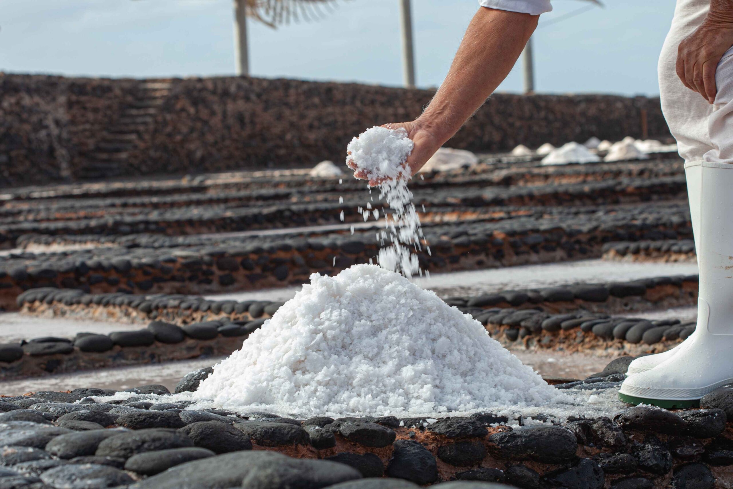 Salt manufacturers