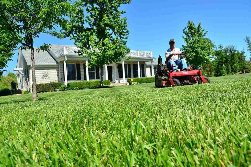 image-139-1024x683 When Should You Fertilize Your Irving Lawn?