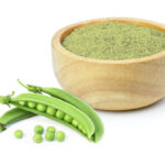 pea protein market