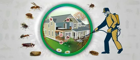 Comprehensive Guide to Pest Control Services in Lahore