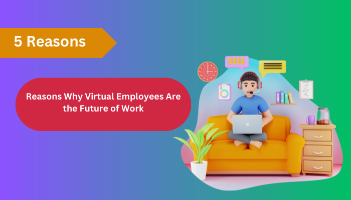 hire a virtual employee