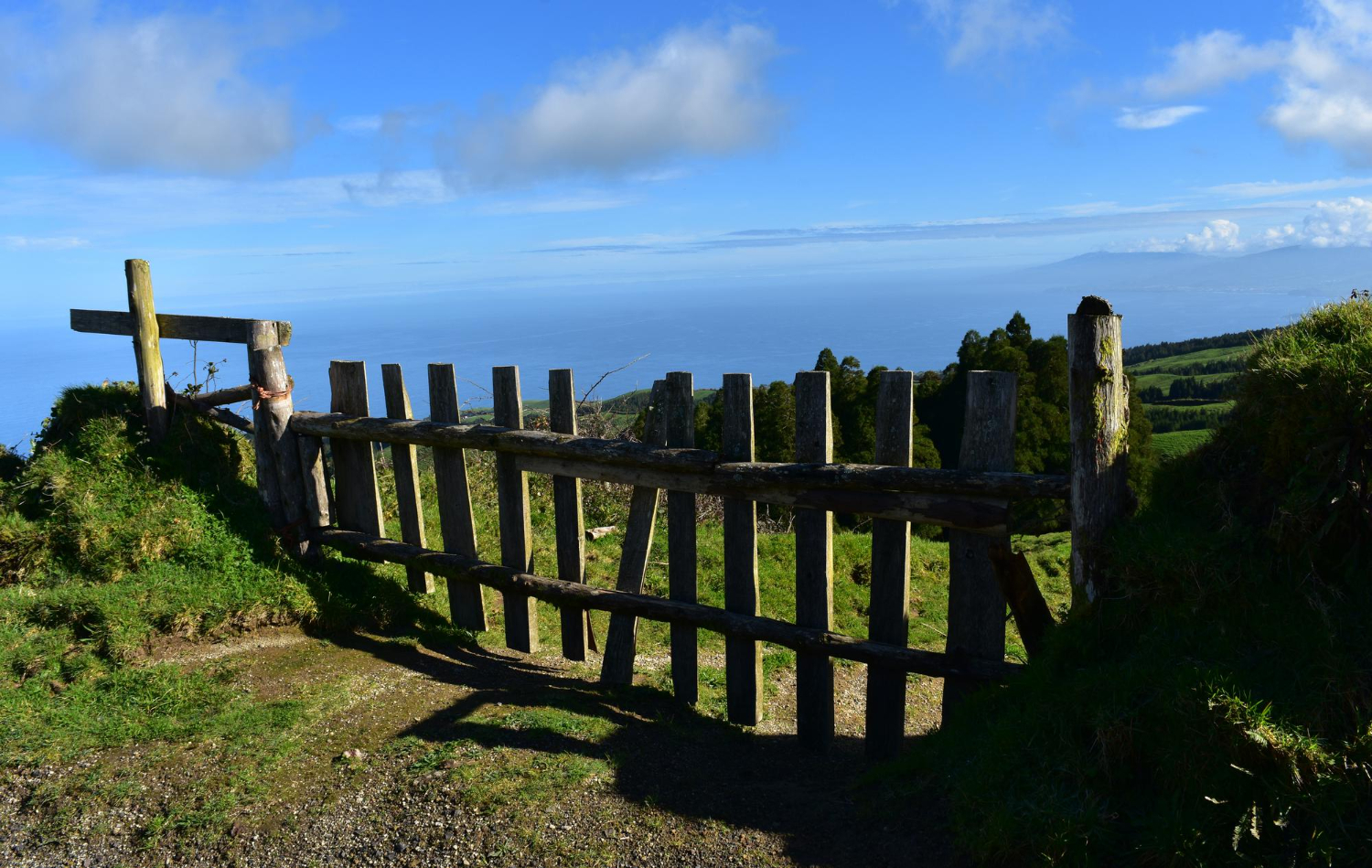 rural fencing auckland