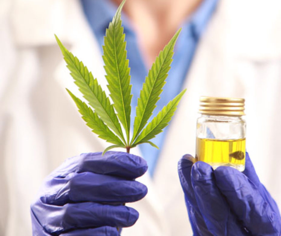 6 How to Find the Best Cannabis Doctors Near Me?