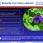 Butterfly Pea Flowers Market