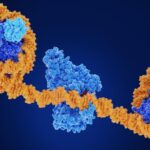 Global Epigenomics Market