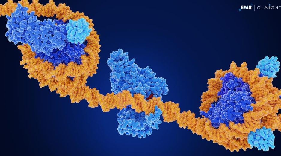 Global Epigenomics Market