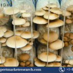 Mushroom Cultivation Market