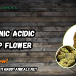 Organic Acidic Hemp Flower