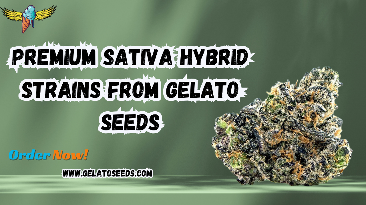 sativa hybrid strains