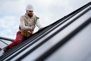 Professional Roof Cleaning Services