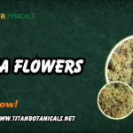 THCa flowers