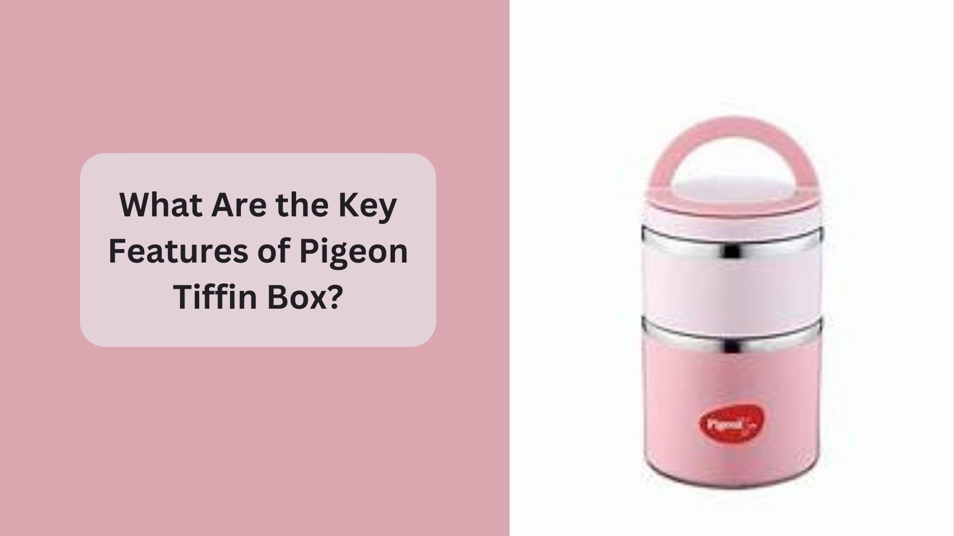 What Are the Key Features of Pigeon Tiffin Box