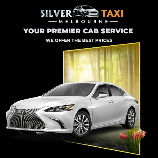 Your Premier Cab Service