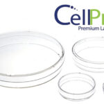 cell culture dishes