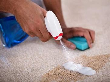 Carpet Stain Removal