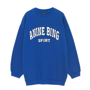 Anine Bing sweatshirt