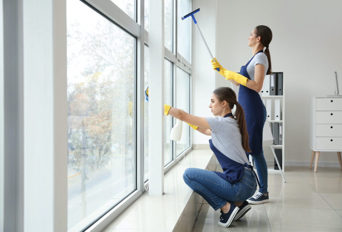 Professional Window Cleaning Services