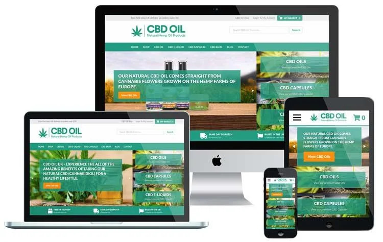 CBD-Web-Design3-1 Create Credibility Through Expert Web Design