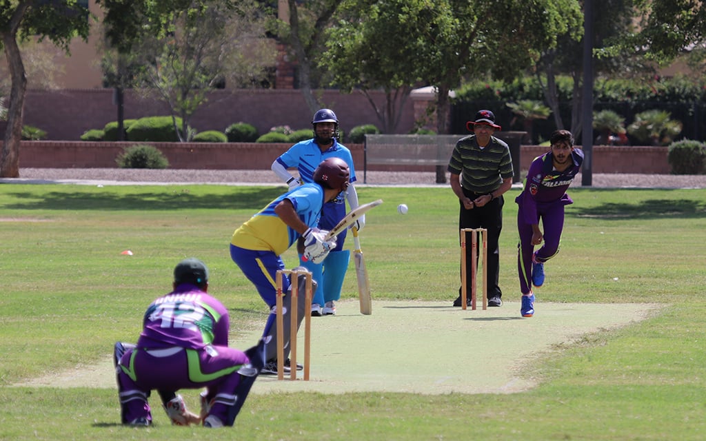 Cricket in the USA