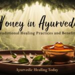 Honey in Ayurveda: Traditional Healing Practices and Benefits