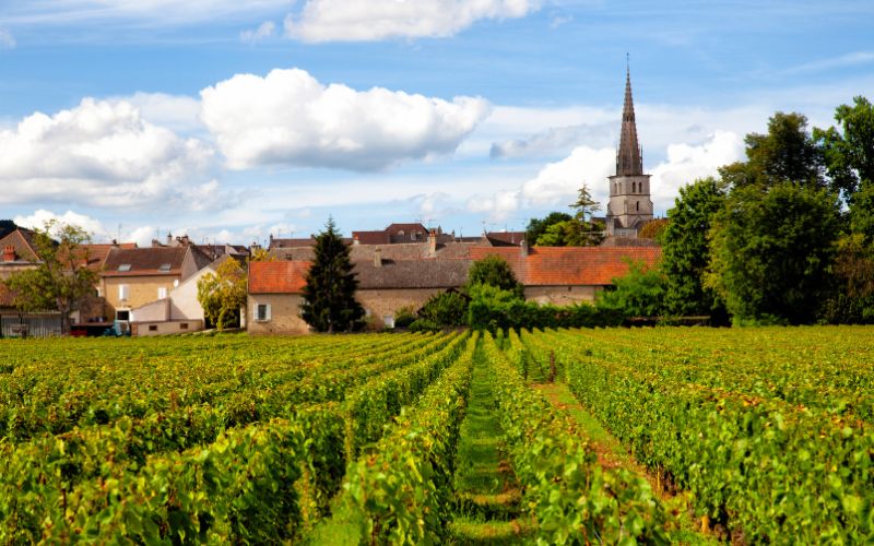 French Wine Regions