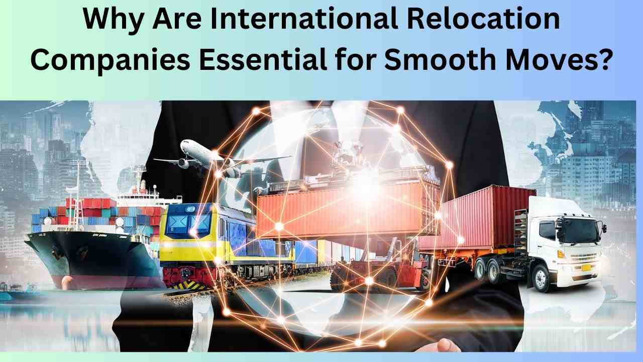 Why Are International Relocation Companies Essential for Smooth Moves?