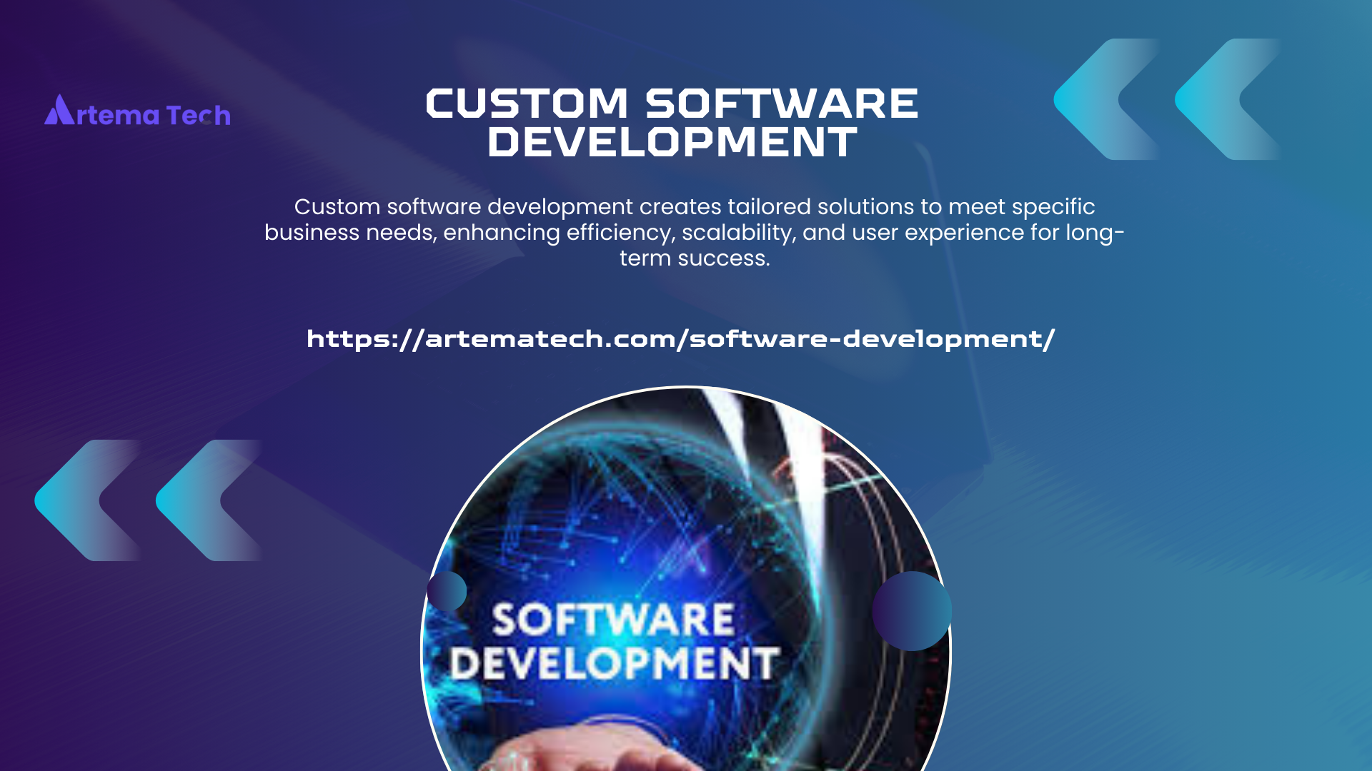 custom software development