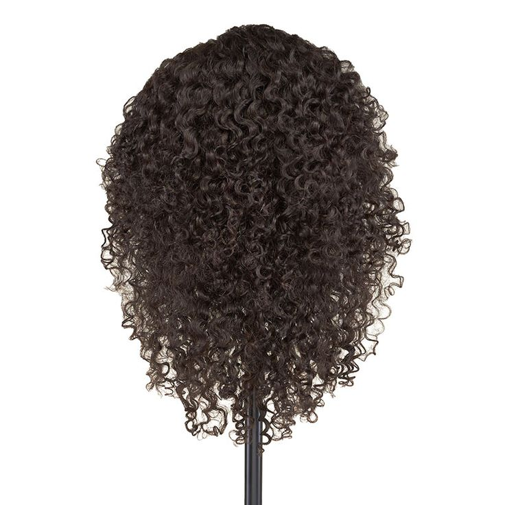 image-24 Everything You Need to Know About Kinky Curly Wigs Maintenance