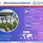 Global Biomethanol Market