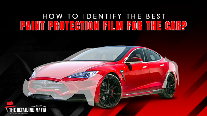 Best Paint Protection Film