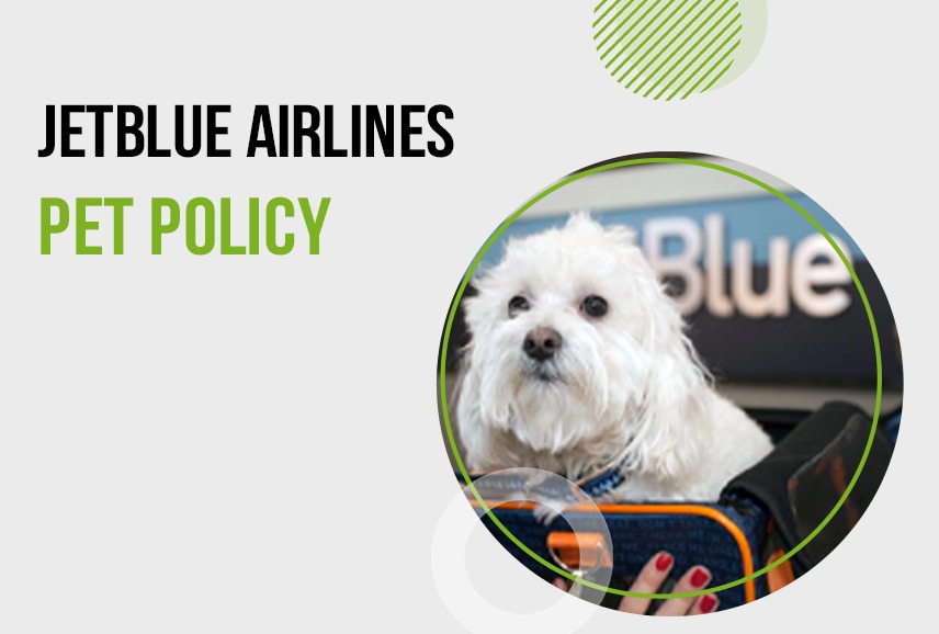 jetblue pet policy