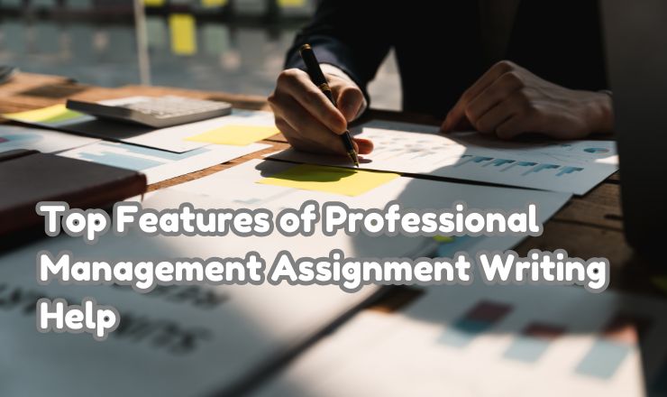 management assignment help