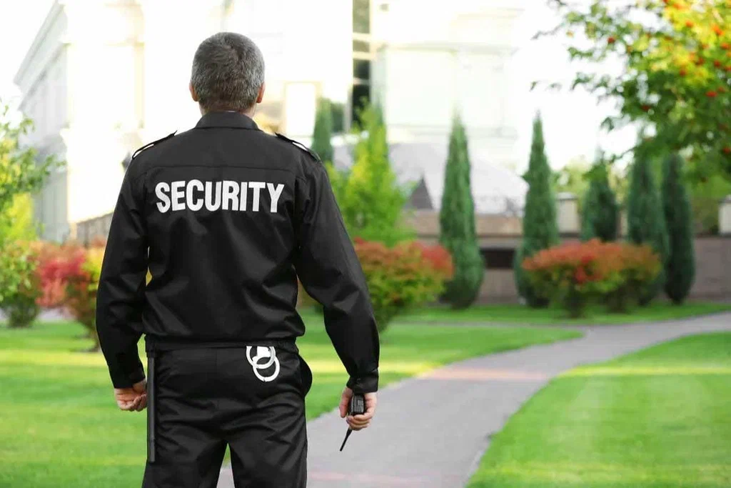 Professional Security Guard