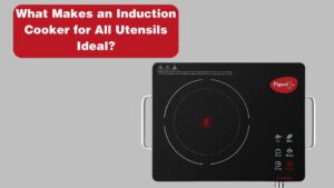 What Makes an Induction Cooker for All Utensils Ideal