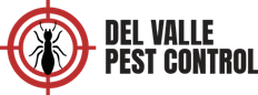 Bedbug Control Harlingen