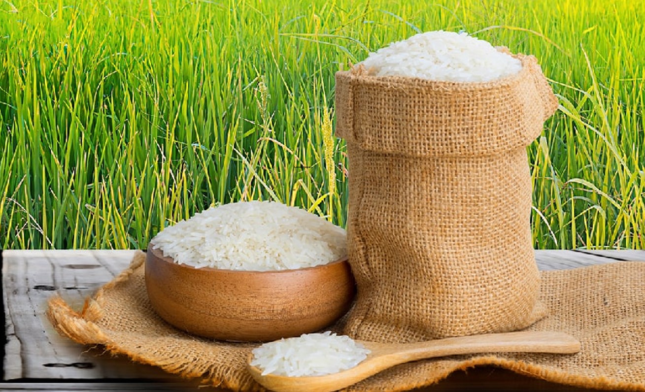 rice-export